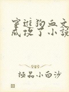 穿进狗血文弱受成攻了小说免费阅读