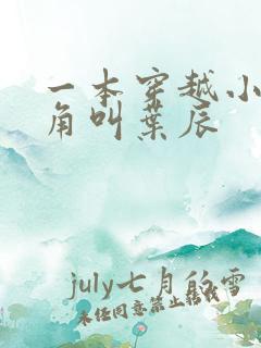 一本穿越小说主角叫叶辰