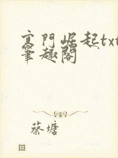 寒门崛起txt笔趣阁