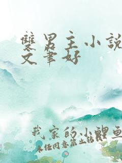 双男主小说推荐文笔好