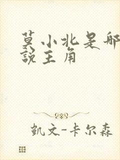 莫小北是哪部小说主角