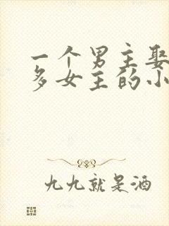 一个男主娶了很多女主的小说