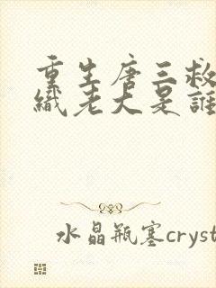 重生唐三救赎组织老大是谁