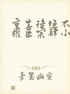 重生后绝不嫁给权臣宗肆小说最新章节