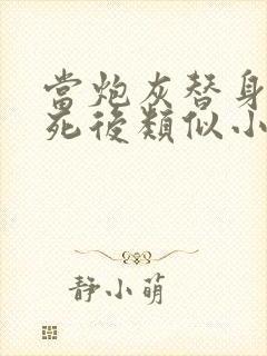 当炮灰替身的我死后类似小说