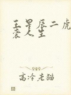 王星辰二虎的逆袭人生