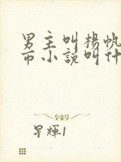 男主叫杨帆的都市小说叫什么