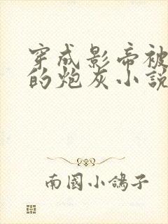 穿成影帝被抛弃的炮灰小说