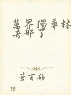 万界独尊林啸天去哪了