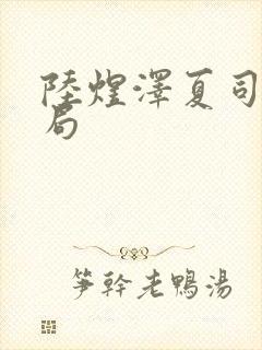 陆煜泽夏司柠结局