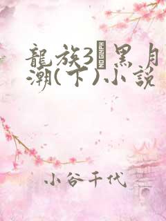 龙族3·黑月之潮(下)小说