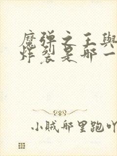 魔弹之王与战姬炸裂是哪一集