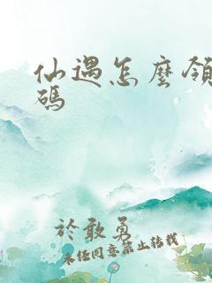 仙遇怎么领礼包码