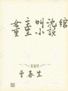 女主叫沈绾绾的重生小说