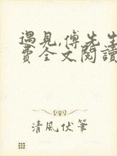 遇见,傅先生免费全文阅读