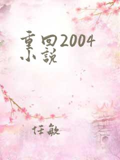 重回2004 小说