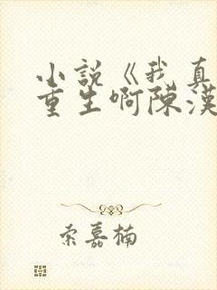 小说《我真没想重生啊陈汉升》