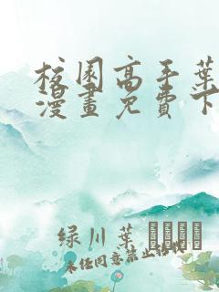 校园高手叶星辰漫画免费下拉式