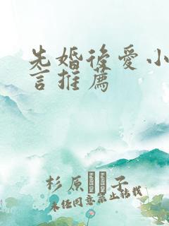 先婚后爱小说古言推荐