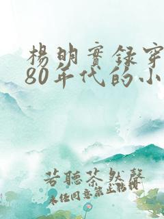 杨明实录穿越到80年代的小说