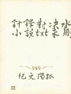 针锋对决水千丞小说txt未删减