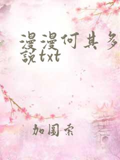 漫漫何其多的小说txt