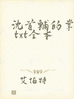 沈首辅的掌上娇 txt全本