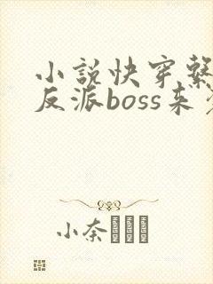小说快穿系统之反派boss来袭