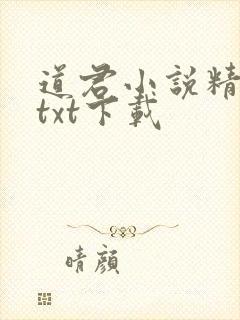 道君小说精校版txt下载