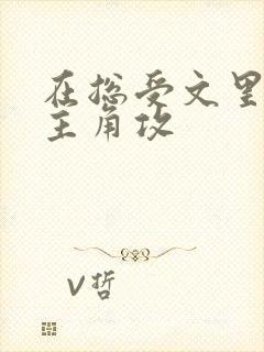 在总受文里面抢主角攻