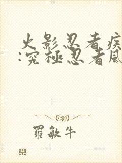 火影忍者疾风传:究极忍者风暴遗产