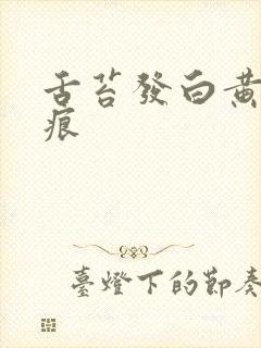 舌苔发白黄有齿痕