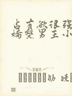 占有欲很强的病娇双男主小说