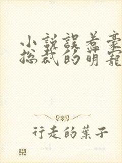 小说误惹豪门,总裁的萌宠新娘免费阅读