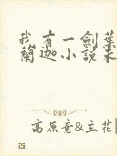 我有一剑叶观纳兰迦小说未删减版