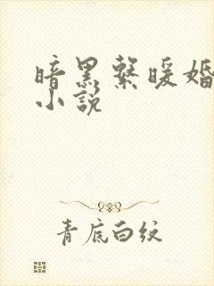 暗黑系暖婚小说小说