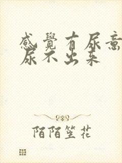 感觉有尿意就是尿不出来