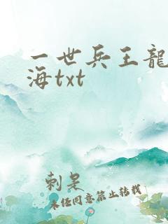 一世兵王龙飞四海txt