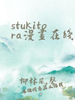 stukitora漫画在线阅读