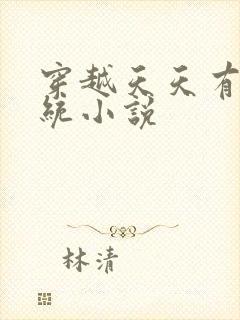 穿越天天有喜系统小说