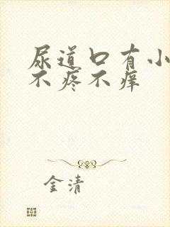 尿道口有小颗粒不疼不痒