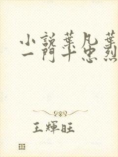 小说叶凡叶长风一门十忠烈