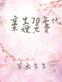 重生70年代小军嫂免费