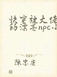 快穿被大佬觊觎的漂亮npc小说阅读