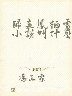 归来凤栖处原著小说叫什么名字