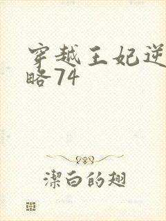 穿越王妃逆袭攻略74