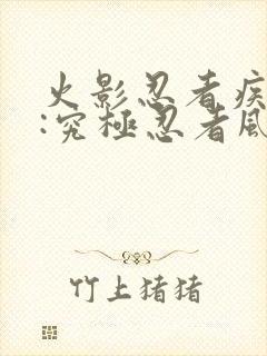 火影忍者疾风传:究极忍者风暴遗产