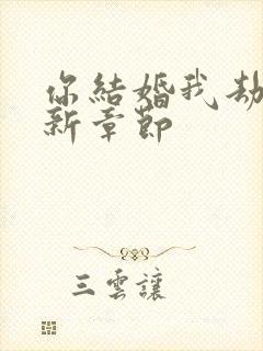 你结婚我劫婚最新章节