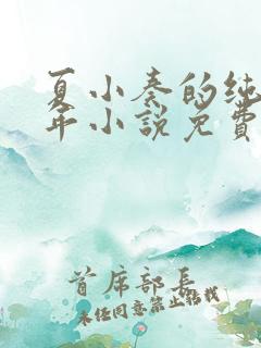 夏小奏的纯情少年小说免费阅读