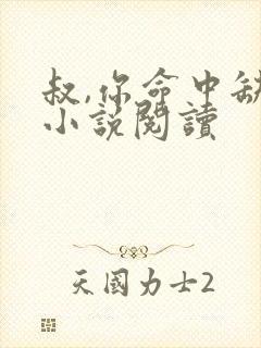 叔,你命中缺我小说阅读